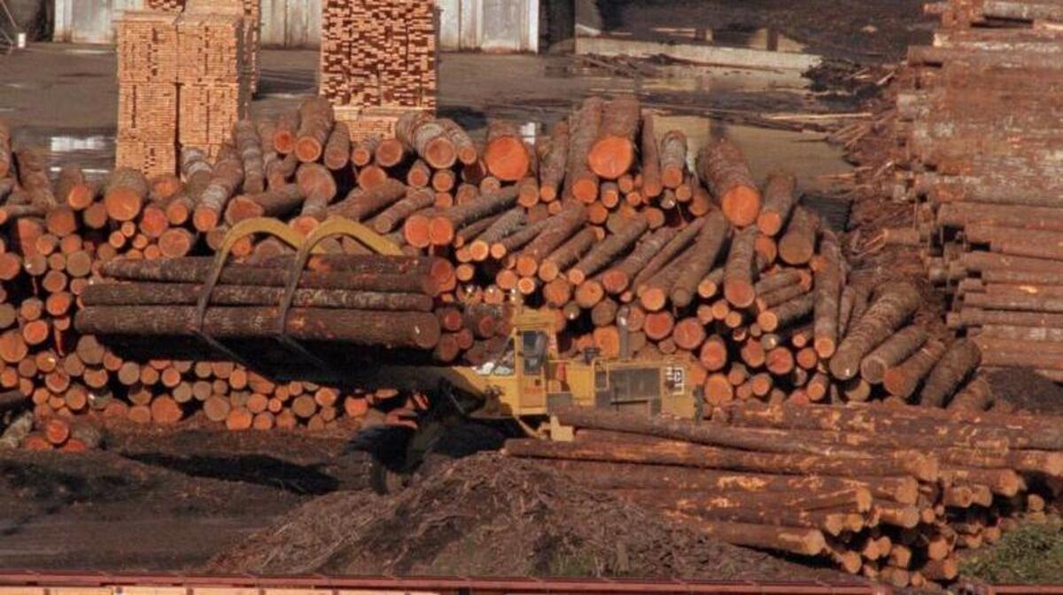 A log loader works in the yard of the Simpson Timber Co.’s Shelton facility in 1994. Mike Fredson, a fifth-generation Mason County resident and president of the Mason County Historical Society, will talk Thursday about the history of Shelton, the Simpson Timber Company and the company’s effect on the community.