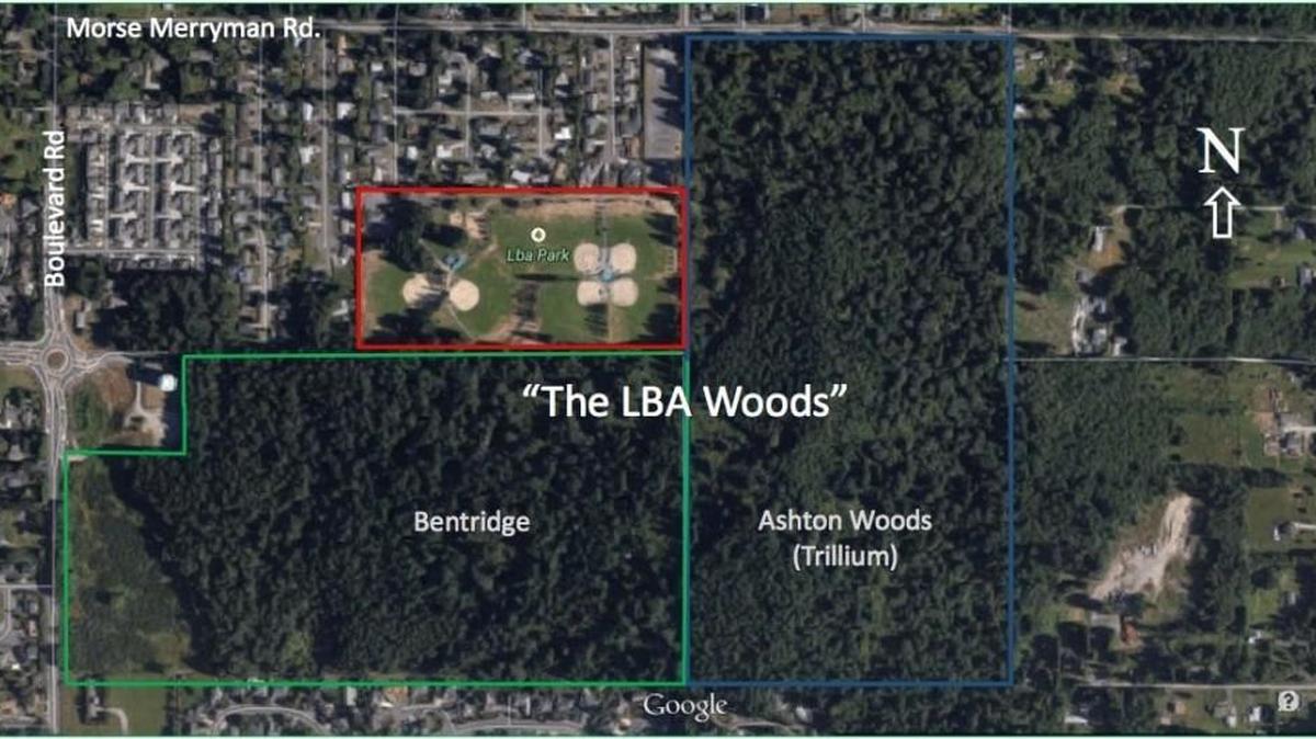 This map shows the parcels that the LBA Woods Park Coalition has been working to protect in southeast Olympia.
