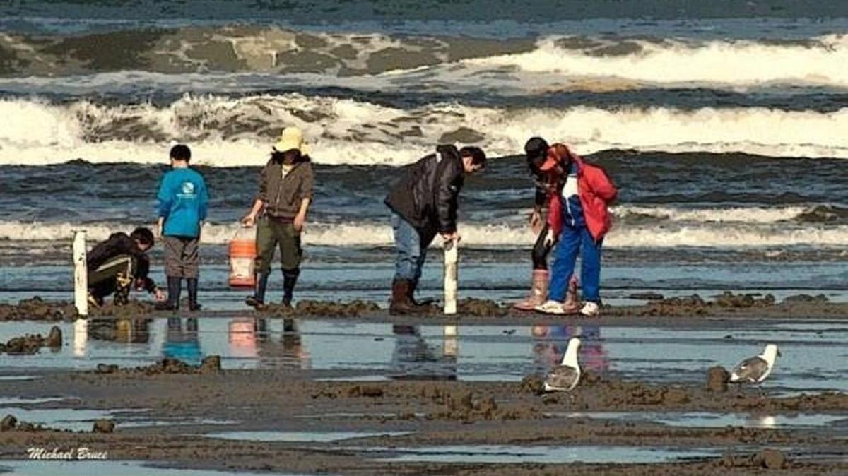 Two women died Friday night on the Washington state coast after rough surf swept them off the beach while they dug for clams, according to the Pacific County Sheriff’s Office.