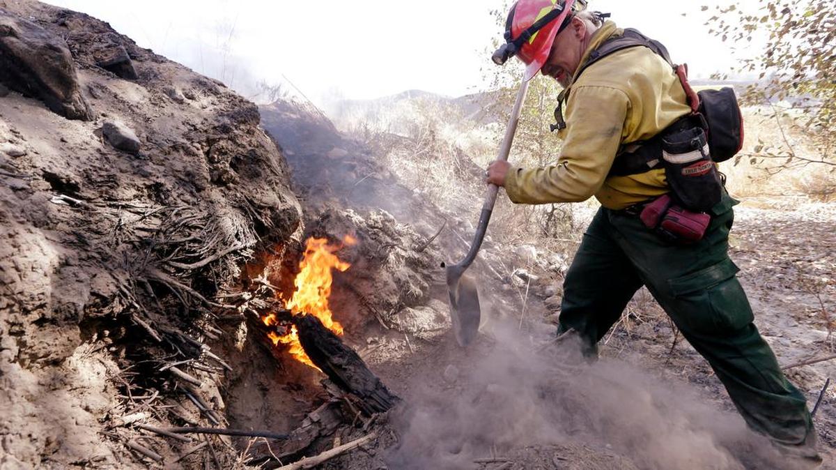 A firefighter digs out a burning stump in the remains of a wildfire in Eastern Washington.