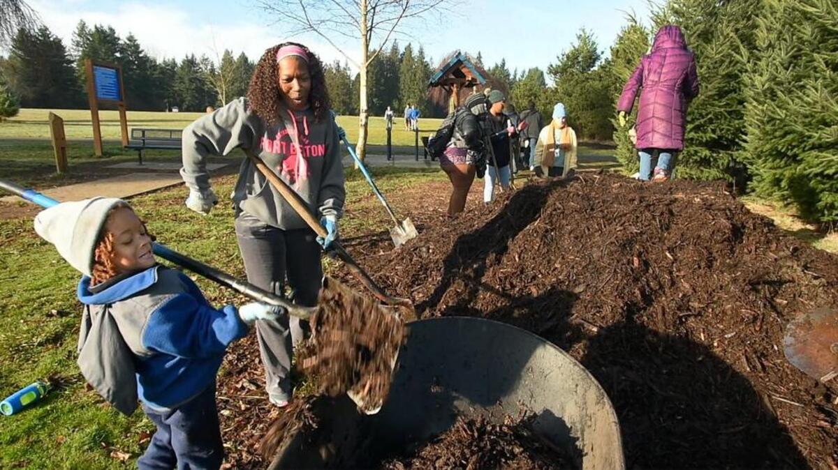 Five-year-old Kyvin Conley of Tumwater muscles a load of bark into a wheel barrow while his mom Torri Conley observes during the 2018 Martin Luther King Jr. Day of Service project at Woodland Creek Community Park in Lacey.