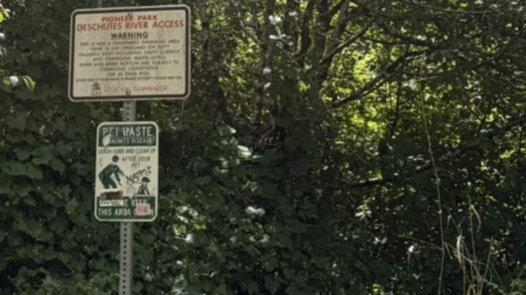 Floating popular Thurston Co. river comes with its own risks, city officials say