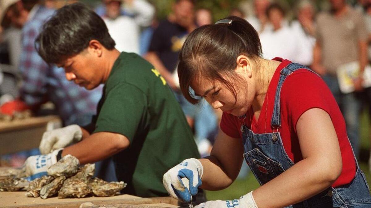 Shucking competitors will be at it again at Oysterfest from 11 a.m. to 4 p.m. Sunday.