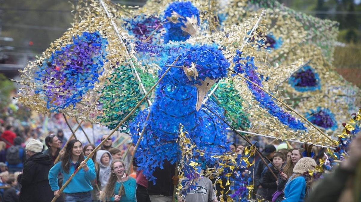 A trio of 20-foot-tall peacock puppets show their colors during the annual Procession of the Species celebration in downtown Olympia in 2017. The procession will be April 27 this year..