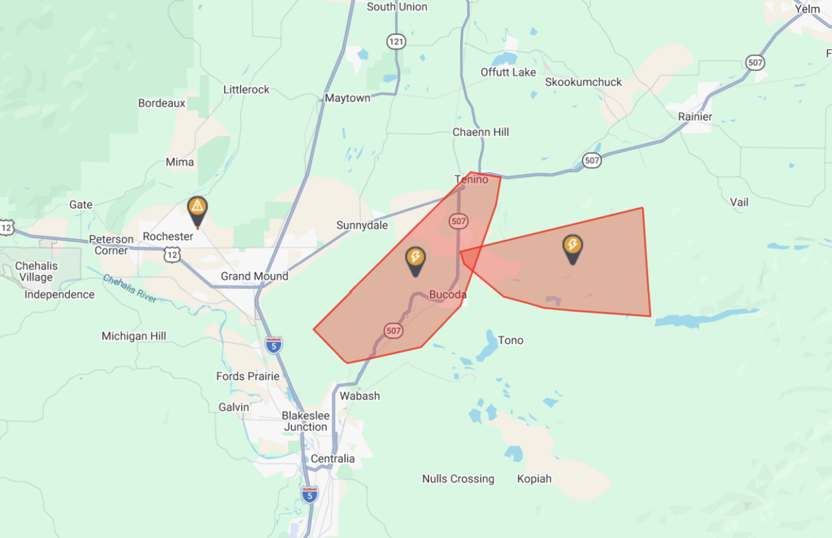 Puget Sound Energy says around 1,400 were left without power after a car collided with an electric pole in south Thurston County.