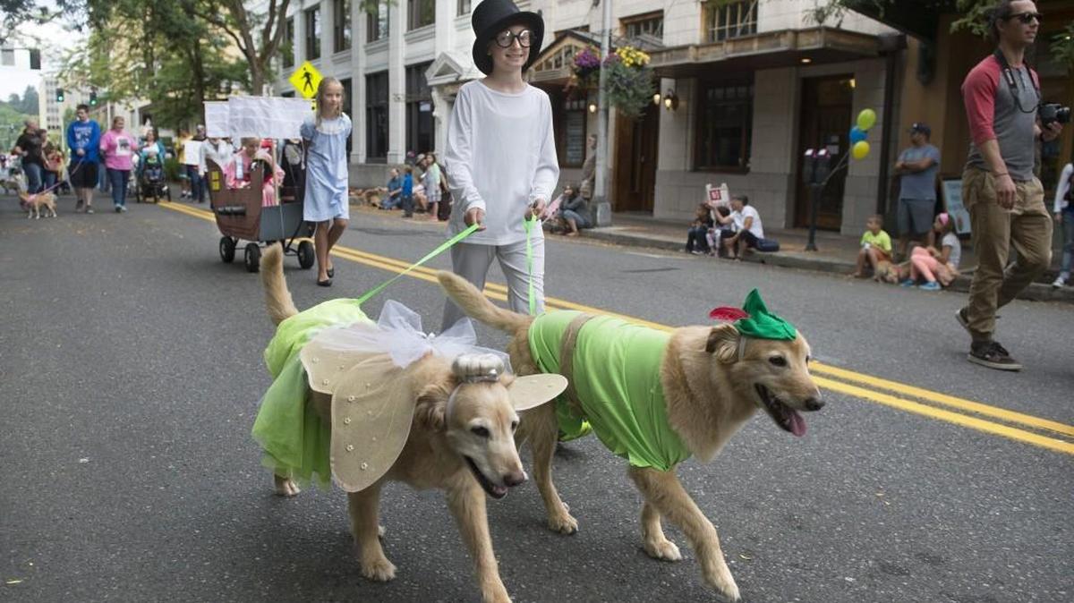 Natalie Gantenbein, 10, of Olympia walks golden retrievers Daisy and Dash with her family’s Peter Pan-themed entry in the 88th annual Pet Parade in downtown Olympia on on Saturday, Aug. 19, 2017. Following behind are Natalie’s sisters, Maris Gantenbein, 12, and Eliza Gantenbein, 7.