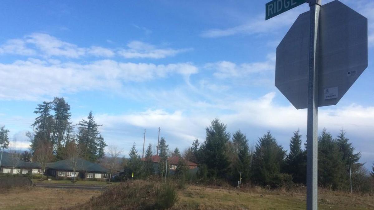 The Bedrock Apartments are slated for an empty lot at 3006 Banks Lane SW in Tumwater. The Overlook at Somerset Hill homeowner’s association is appealing the proposed 15-unit complex to ensure that safety issues are addressed.
