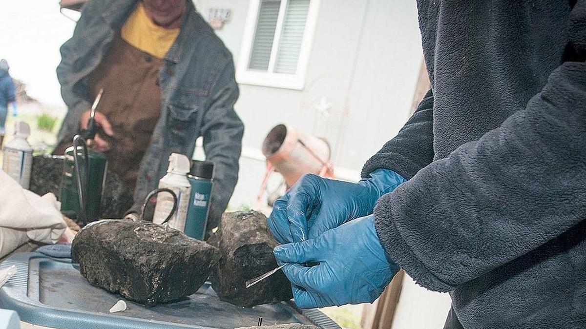 Volunteers place small transmitters into cobblestones as part of a project to track the movement of the dynamic revetment being used to protect the North Cove shoreline from erosion.