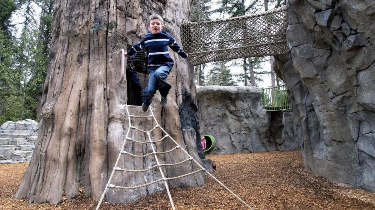 Mason Reed, 8, of Lacey, leaps from a climbing net after emerging from the hollowed out tree at the new outdoor playground at Northwest Trek Wildlife Park in Eatonville on March 28.