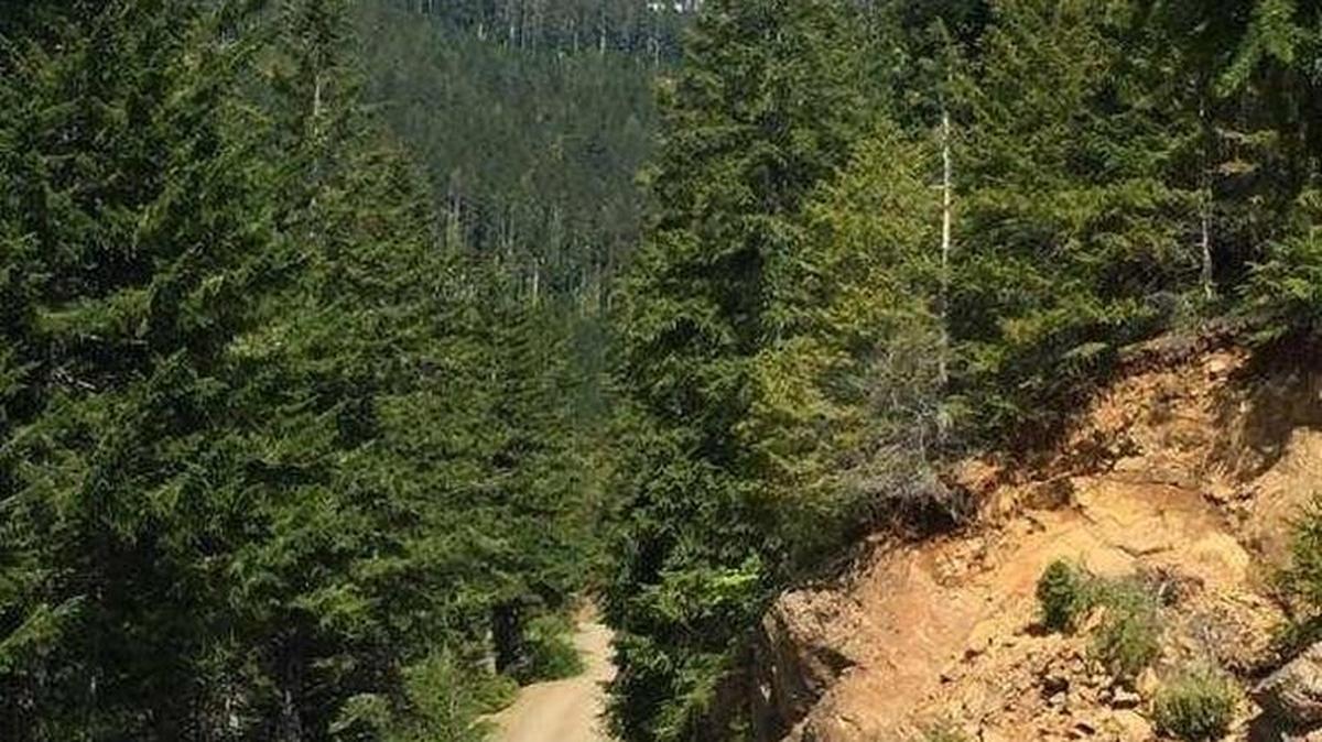 The Mason County Sheriff’s Office, plus a Navy helicopter, rescued a woman Sunday who had injured her knee on Mount Washington in Mason County.
