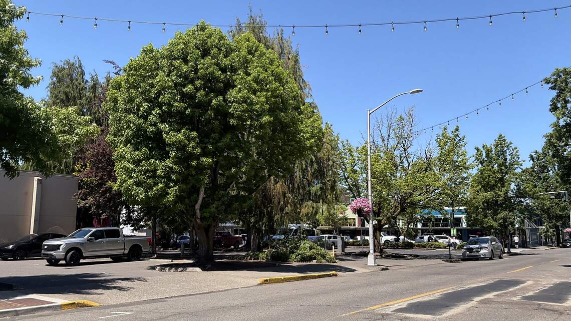 Olympia area under heat advisory as area temps climb 15 degrees above average