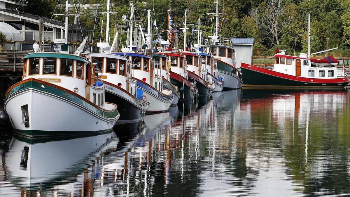 A row of newer-series tugs at Percival Landing during the annual 2014 Olympia Harbor Days celebration.
