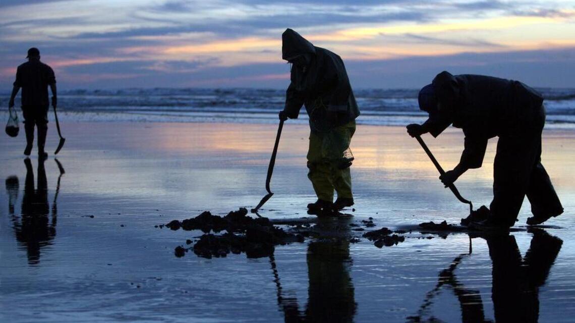 Even when oysters are in season, you might have to leave clams in the sand