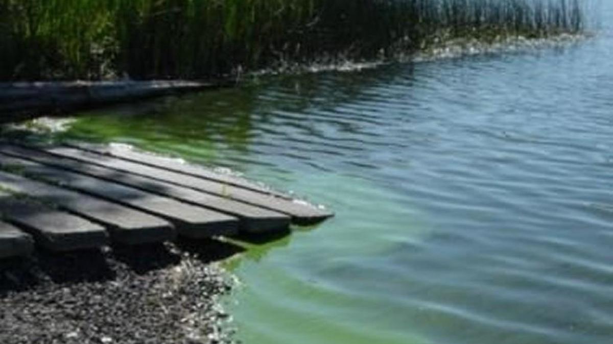 The toxic algae advisory has been lifted for Pattison Lake.