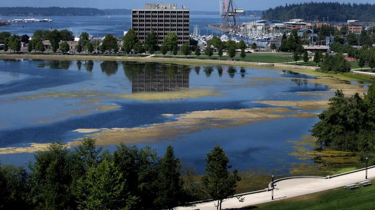 The Deschutes Estuary Restoration Team is offering its second community forum from 6-8 p.m. Friday at The Olympia Center, 222 Columbia St. NW, to explore the indigenous history, role, and meaning of Budd Inlet’s estuary through time.