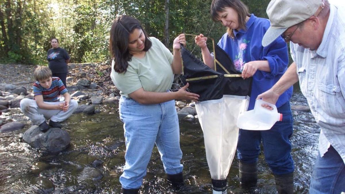 Nisqually Stream Stewards collect aquatic insects from a spot in the Mashel River in Eatonville.