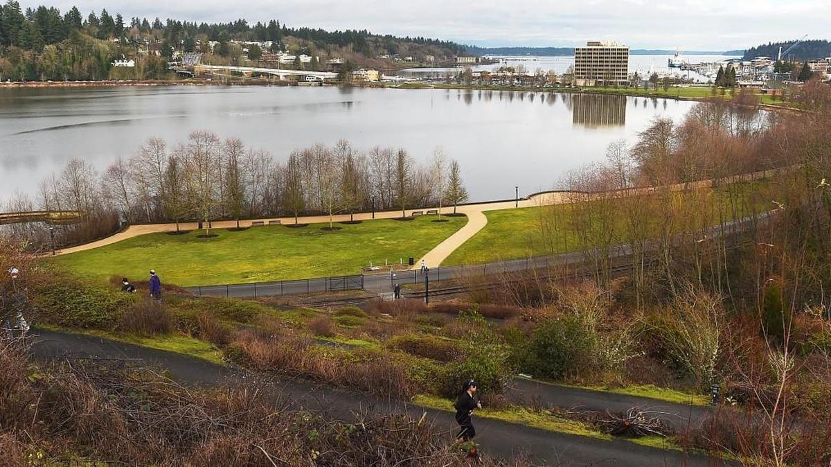 A welcome break between weather systems bathes Capitol Lake in sunshine. The Department of Enterprise Services hosted a public meeting about the long-term management of Capitol Lake on Friday.
