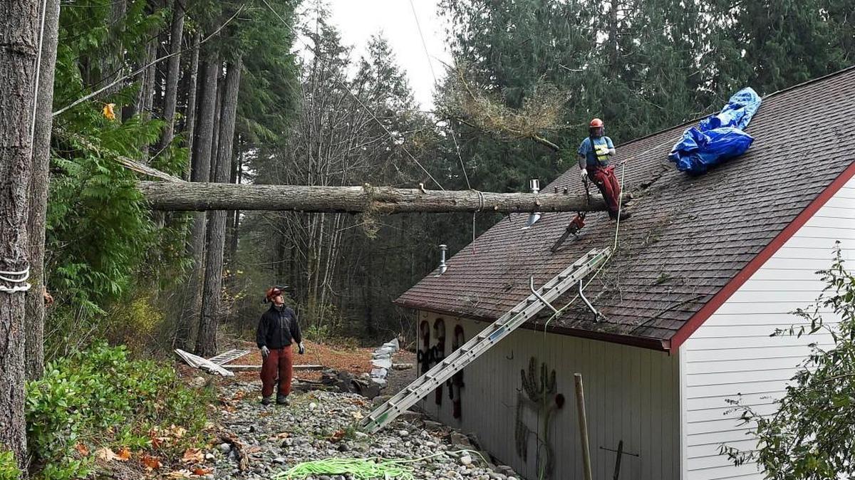 Joe Phelan (left) and Mitch Chapman from Double D Tree remove a fir Wednesday morning that crashed through the roof of Stan and Becky Parker's detached garage at their Delphi Road home during the Tuesday evening storm. No one was in the garage loft at the time of the crash.
