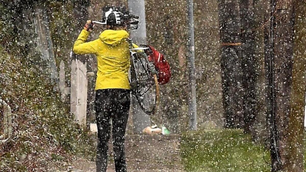As snow begins to fall along Olympia’s Fourth Avenue Tuesday morning, a cyclist gets ready to carry the all-weather ride up to an office. Snowy roads have affected the start time for many schools on Wednesday.