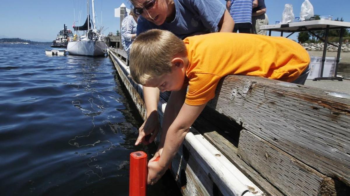 Payton Phillips assists Pacific Shellfish Institute biologist Mary Middleton in checking the water depth before they collect phytoplankton on the Port Plaza dock at the Port of Olympia. You can join the Citizen Science Plankton Monitoring each Thursday through September.