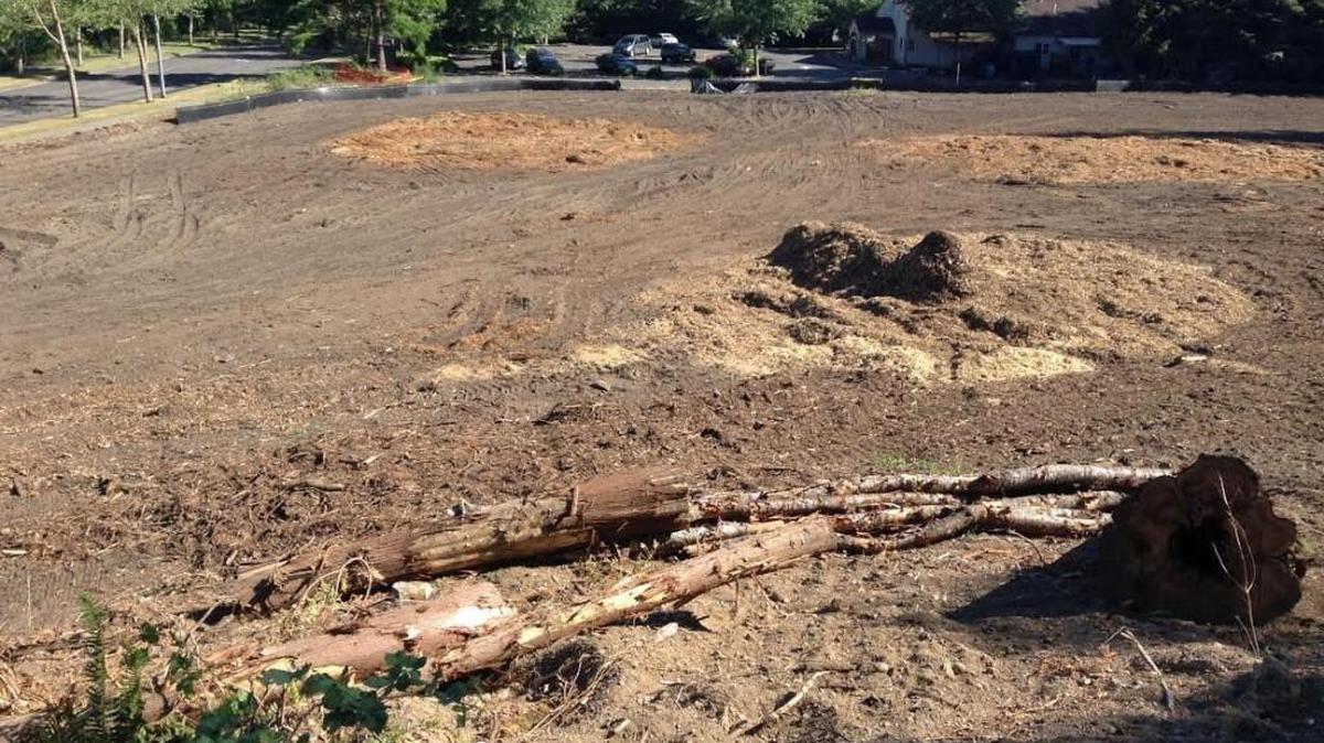 
Lacey area resident Rob Kavanaugh has raised concerns about this Lacey Corporate Center development site, saying it’s in violation of the city’s regulations to protect trees.
