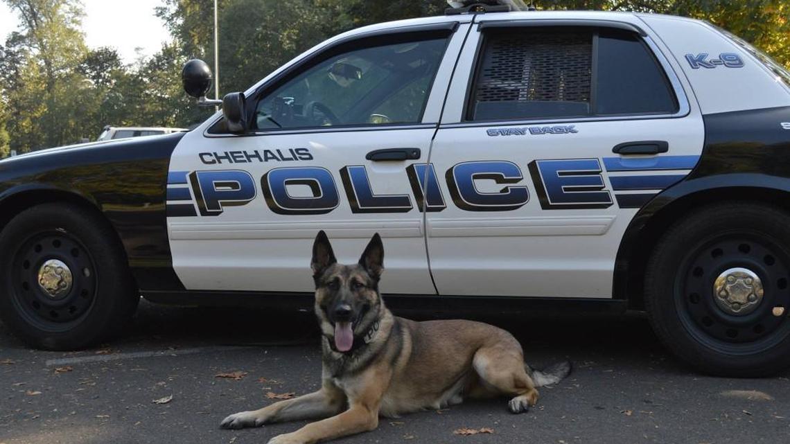 K9 Reign died unexpectedly during training on June 27, 2017.