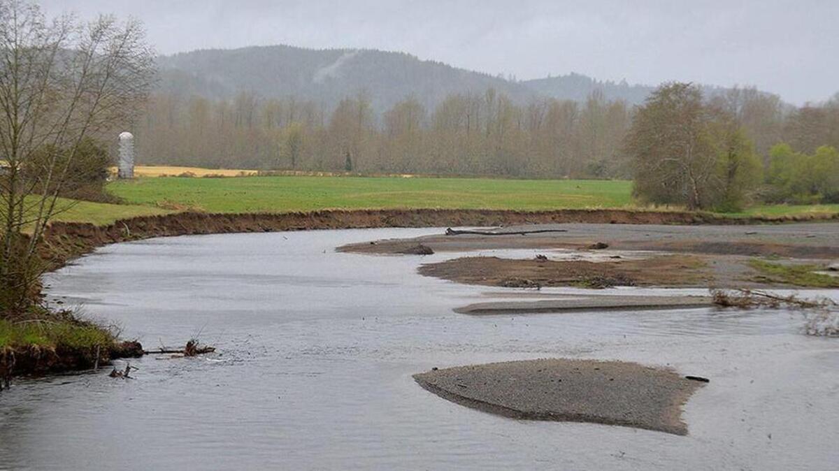 The Satsop River is the likely target of a dredging and floodplain management project in a fish habitat bill making its way through the state Legislature.