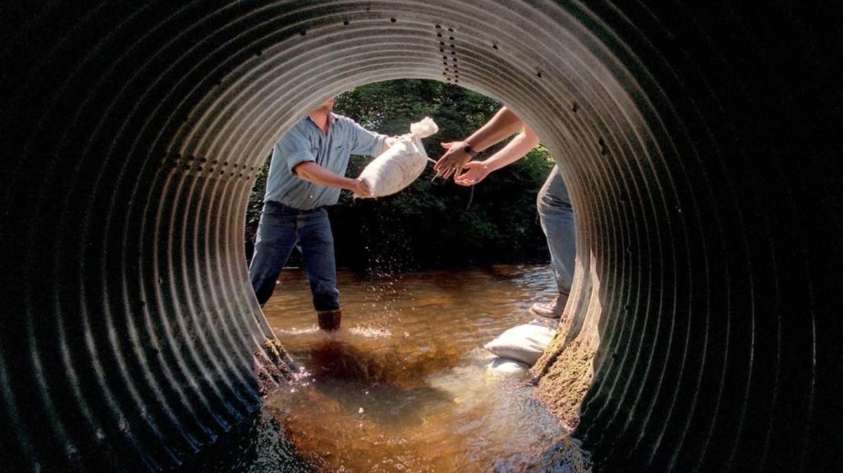 The Department of Ecology is preparing to launch 17 projects intended to open up 32.5 miles of fish habitat in the Chehalis Basin, the state’s second largest watershed that includes a portion of southern Thurston County. The projects often include improving or removing culverts.