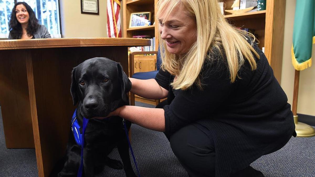 Kim Carroll, the senior victim advocate for the Thurston County Courts, pets Marshal, the new courthouse facility dog, as Wendy Ireland, the legal support coordinator and caretaker of Marshal, outlines the program.