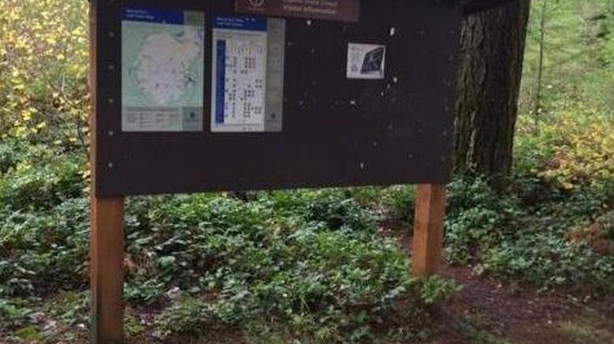 The body Dakota Tyree Walker, 18, was found at 1:30 p.m. on Oct. 20 off of Waddell Creek Road Southwest in the Capitol State Forest.