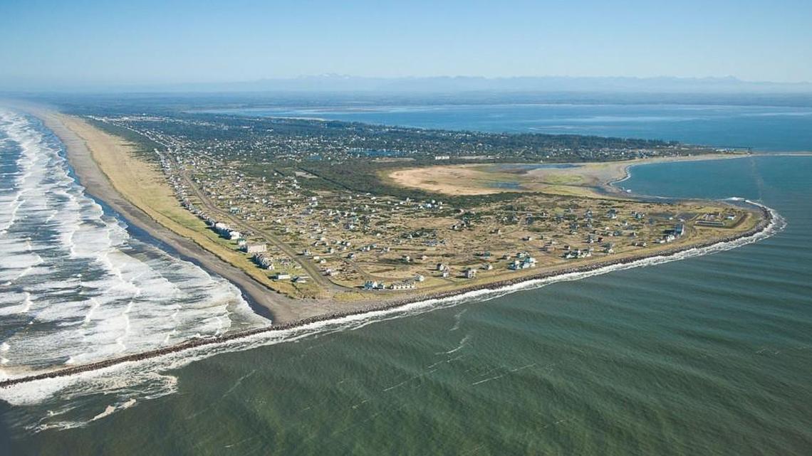 Ocean Shores Police Department cited a Lacey man after his pit bull allegedly attacked two horses on the beach Sunday. A teen was injured when she was thrown from one of the horses.