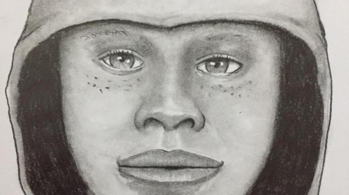 A sketch shows the suspect in an April 14 bomb threat at Pleasant Glade Elementary.