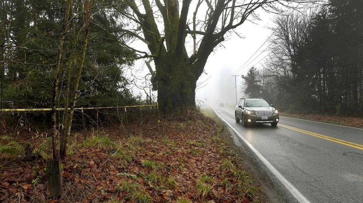 Yellow caution tape is still visible through the fog near the scene where a Thurston County Sheriff's deputy fatally shot a suspect Tuesday along 93rd Avenue Southeast near the south end of the Olympia Regional Airport.