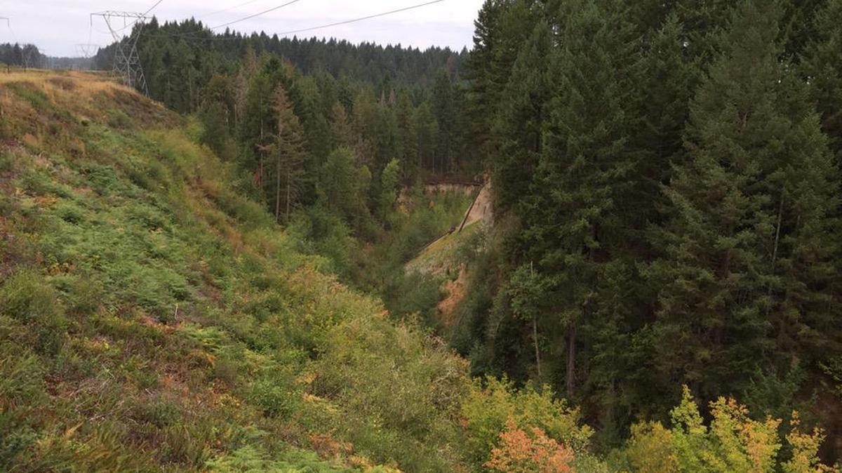 
A 50-year-old woman was injured after driving into a 300-foot ravine on Thursday morning.

