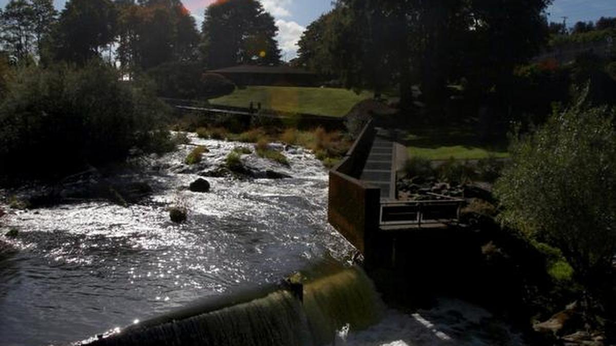 Staff file: Capitol Volkssport Club is hosting a guided walk on Thursday, October 5, which begins at Tumwater Falls Park. Photo taken in 2012.