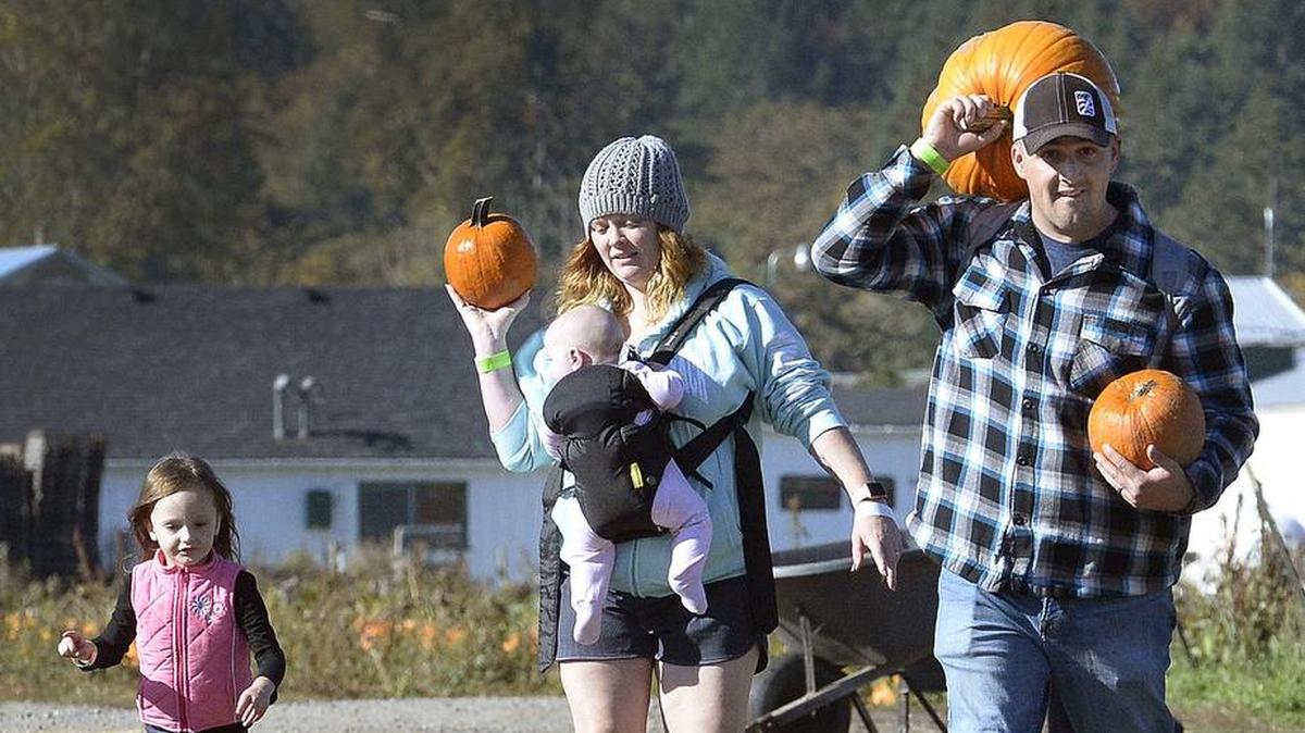 Army Sgt. Zach Holt and his wife, Constance, find a selection of future jack-o-lanterns at the Schilter Family Farm in Nisqually in 2018. The Olson Bros will have a concert at the farm on Sunday, Oct. 29.