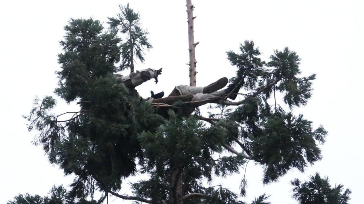 Approaching a day up in a tree, aman remains atop an 80 foot conifer in downtown Seattle, Wednesday, March 23, 2016.