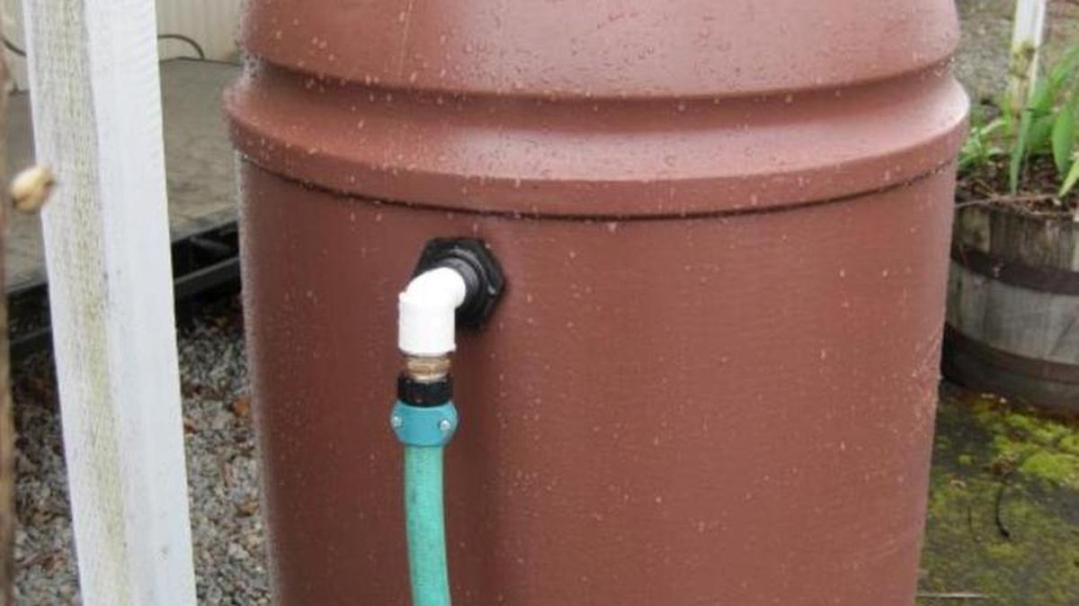 Rain barrels offer a simple way for homeowners to collect, store and use the abundant Washington rainfall for personal irrigation needs instead of paying for what comes out of the garden hose.