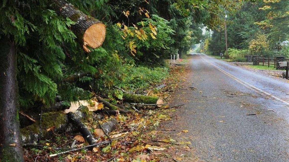 Staff file: As the region cleans up from what was originally forecast to be a weekend storm of potentially historic proportions, there still was enough punch to keep Puget Sound Energy crews busy, such as this downed tree in the 3800 block of Lemon Road NE,which toppled over on Saturday, Oct. 16. Crews were busy on Tuesday morning restoring power for hundreds of homes that went dark on Monday night after high winds knocked down trees and vegetation causing power outages reported in areas throughout Western Washington, including hundreds of Thurston County homes.