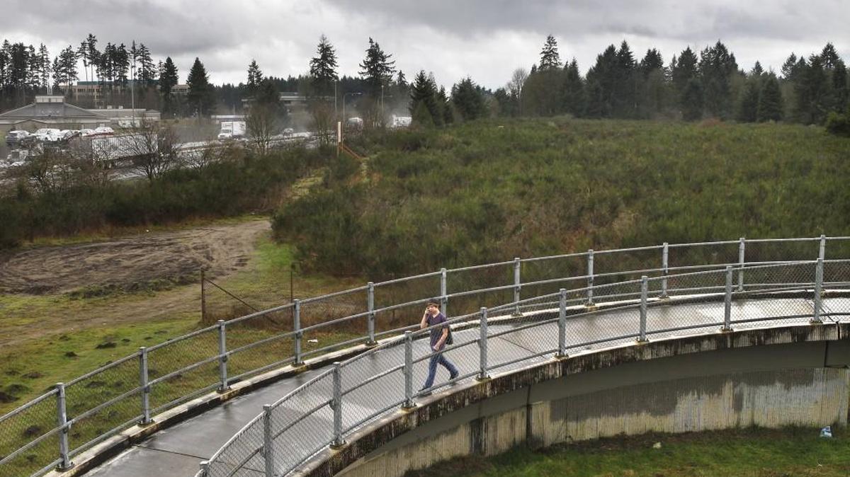
The 27-acre field west of I-5 and south of the pedestrian freeway overpass in Tumwater was purchased by Toyota of Olympia for what could be the city's first major car dealership. The property is shown on Thursday, Feb. 19, 2015.

