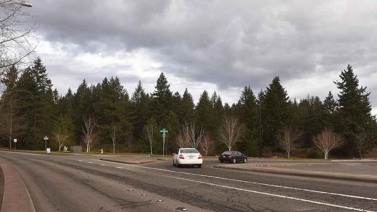 Walker John and Greg Bailey propose to bring 350 apartments to 2555 Hogum Bay Road NE, which is just behind the plot of forested land shown here in Hawks Prairie.