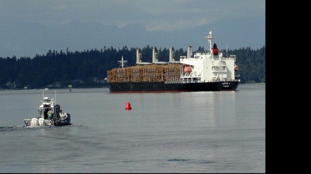 
A stronger U.S. dollar has made log exports from the Port of Olympia 15 percent to 25 percent more expensive.
