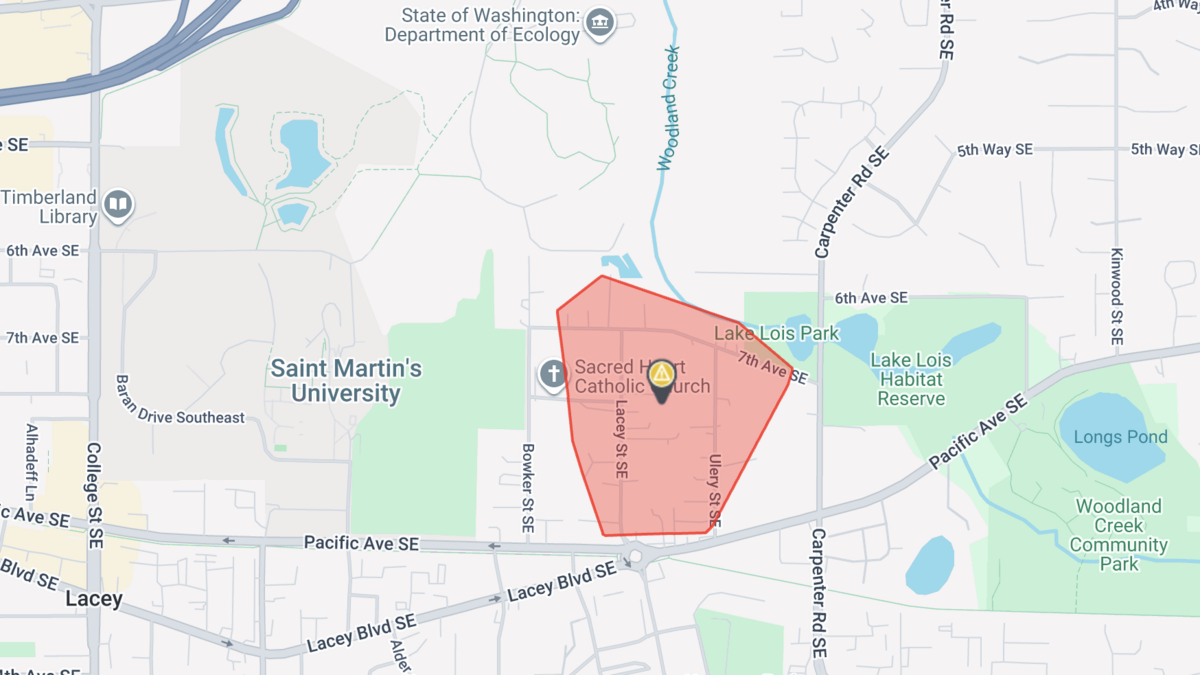 Over 100 homes lost power in Lacey on Thursday afternoon after a tree downed an electric pole.