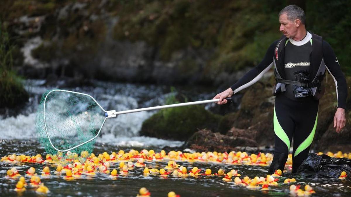 Bob Willey of Lacey scoops up stranded rubber ducks following the Lacey Rotary Duck Dash at Tumwater Falls Park in 2009. This year, the fundraising event has to move to the Thurston County Fairgrounds because of construction and cleanup efforts at Tumwater Falls.