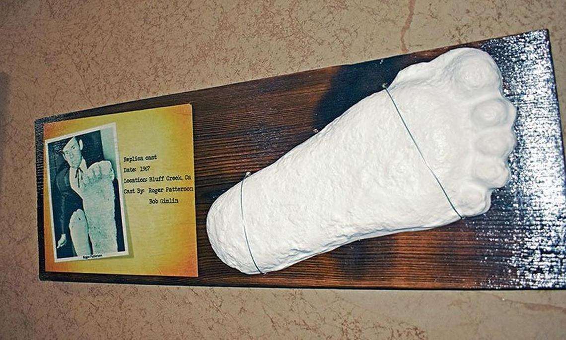 This March 2, 2017, photo shows a replica of a footprint cast made in 1967 in Northern California in Scott Violette’s home in Baker City, Ore. Violette, who lives in Baker City, Oregon, and grew up nearby, plans to search for Bigfoot this summer in the northern Blue Mountains near Tollgate.