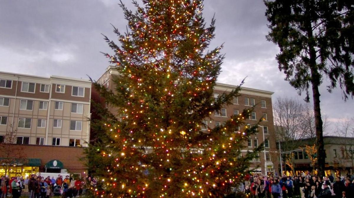 Watch the holiday tree get lit Sunday at Olympia Downtown for the Holidays in Sylvester Park.