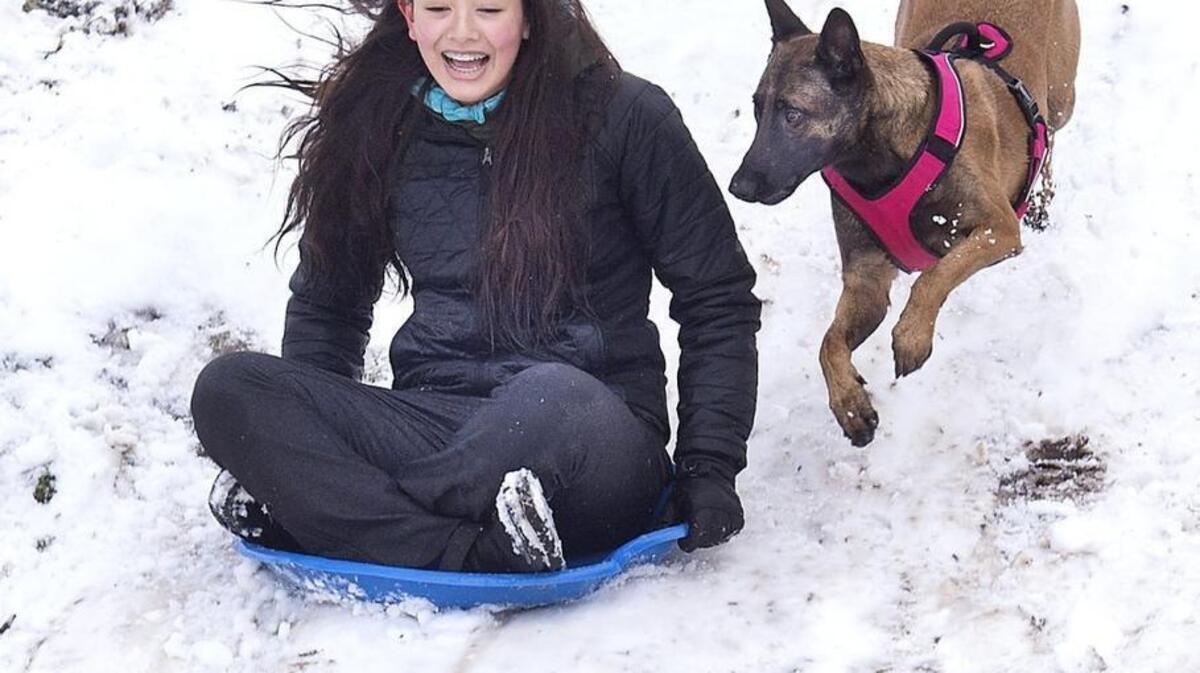 Lani Matthews, 13, is chased down the Buckley Cemetery hill by her dog, Kona, in February. A study finds a link between interactions with nature and happiness for people in the Puget Sound area.