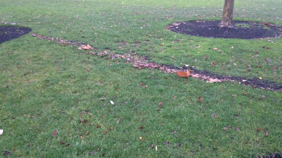 Capitol Lake flooding early Thursday morning left a line of debris in Olympia’s Heritage Park.