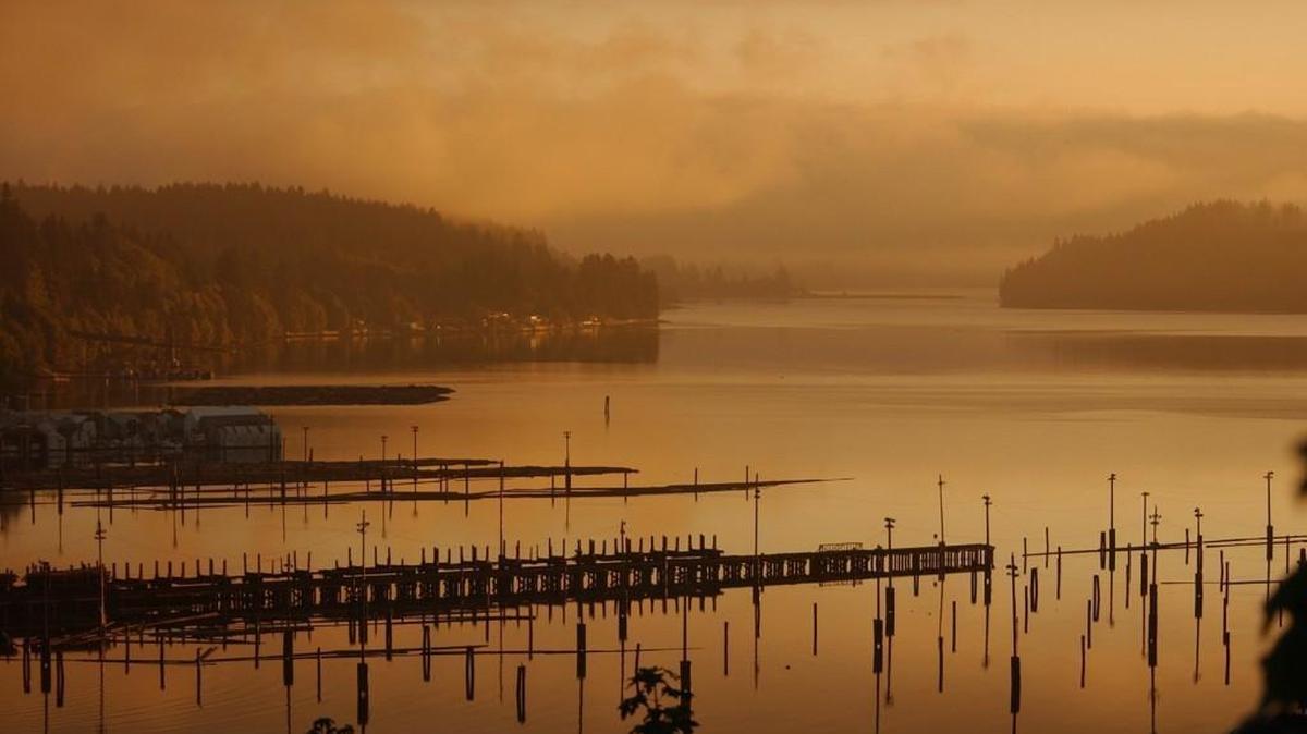 Oakland Bay, Shelton
