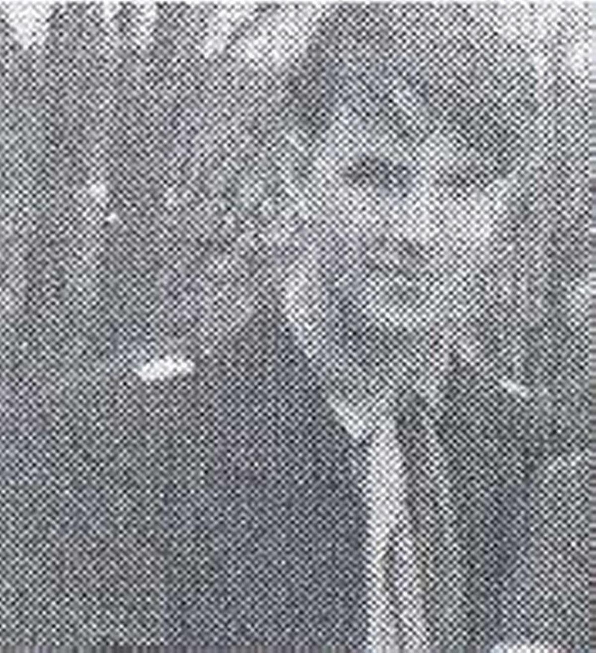 Christopher H. Bridgeman Jr. disappeared in 1963 when Cindy Morris of Rainier was 2 years old.